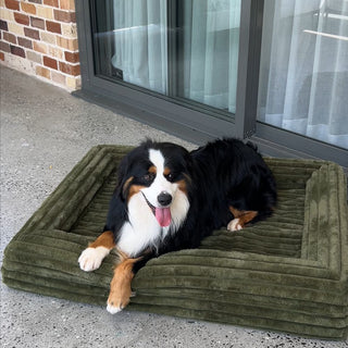 Memory Foam Dog Bed - Puffer Fern