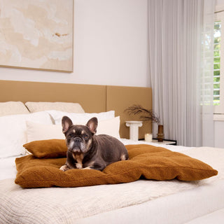 Polar Fleece Pillow - Golden Brown