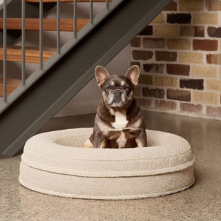 Round Memory Foam Dog Bed - Bouclé Ivory