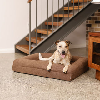 Cover - Boucle Cocoa