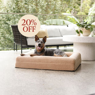 Memory Foam Dog Bed - Polar Fleece Clay