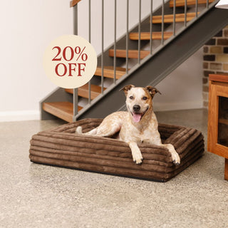 Memory Foam Dog Bed - Puffer Truffle
