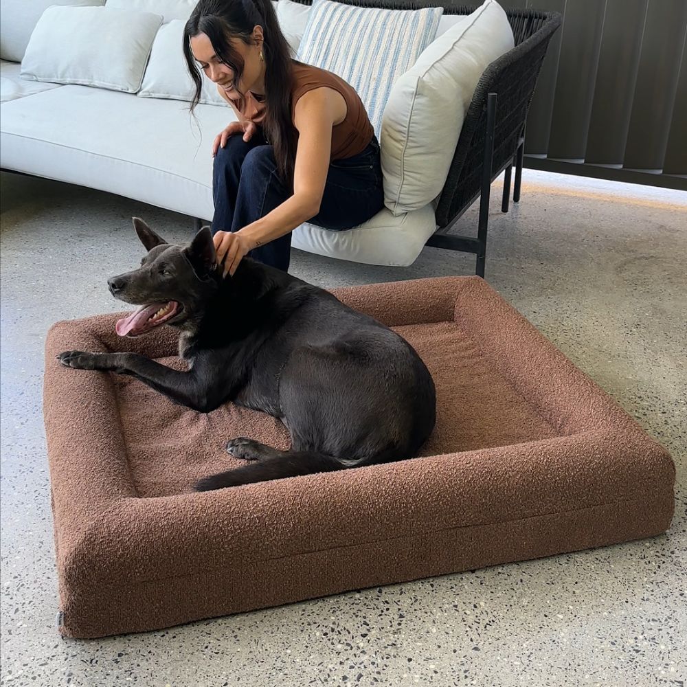 Memory Foam Dog Bed - Boucle Cocoa