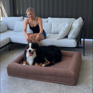 Memory Foam Dog Bed - Boucle Cocoa