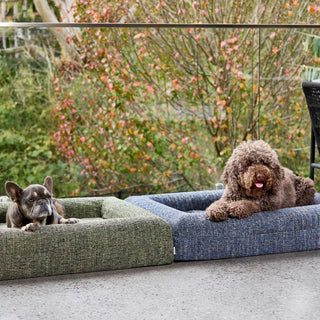 Memory Foam Dog Bed - Boucle Speckle Green