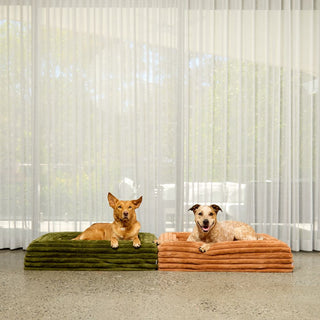 Memory Foam Dog Bed - Puffer Fern