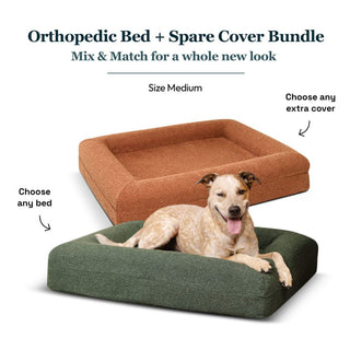 Medium Bed with Extra Cover Bundle