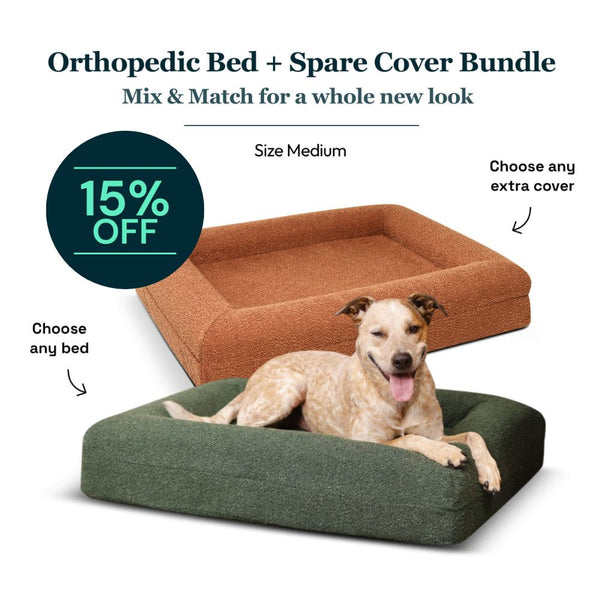 Medium Bed with Extra Cover Bundle – Dazy Dog