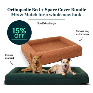 Extra Large Bed with Extra Cover Bundle