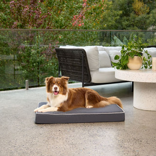 Alfresco Bed - Blue