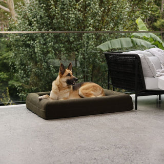 Memory Foam Dog Bed - Polar Fleece Olive