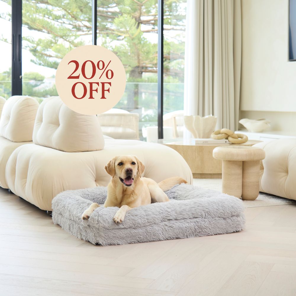Memory Foam Dog Bed - Shag Grey