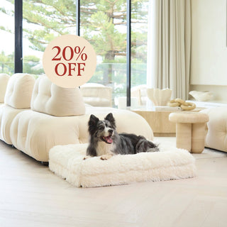 Memory Foam Dog Bed - Shag Cream