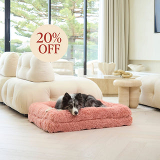 Memory Foam Dog Bed - Shag Pink