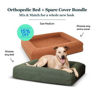 Medium Bed with Extra Cover Bundle