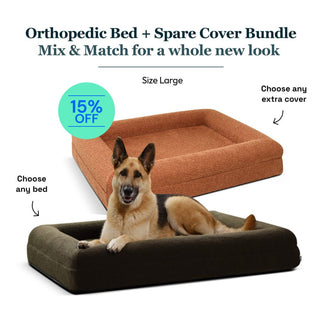 Large Bed with Extra Cover Bundle