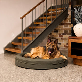 Cooling Round Dog Bed - Seaweed