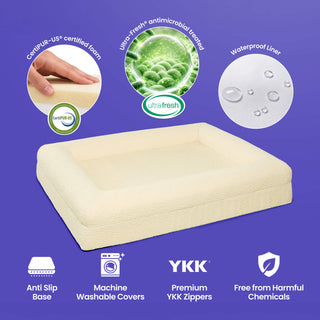 Memory Foam Dog Bed - Bouclé Ivory
