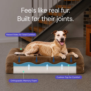 Memory Foam Dog Bed - Faux Fur Pearl