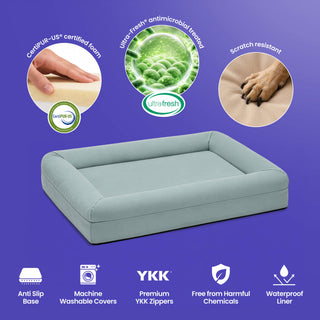 Memory Foam Dog Bed - Canvas Seafoam