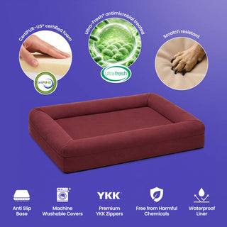 Memory Foam Dog Bed - Canvas Spiced Apple