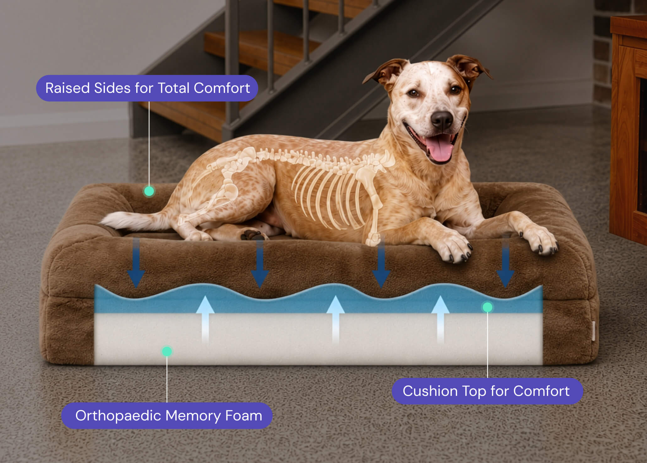 Memory Foam Dog Bed - Faux Fur Pearl – Dazy Dog