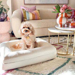 Small Bed, Spare Zipper Cover & Quick Cover Bundle