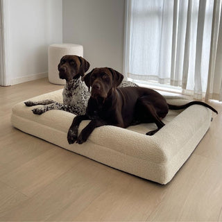 Large Bed, Spare Zipper Cover & Quick Cover Bundle