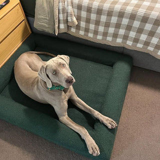 Large Bed, Spare Zipper Cover & Quick Cover Bundle