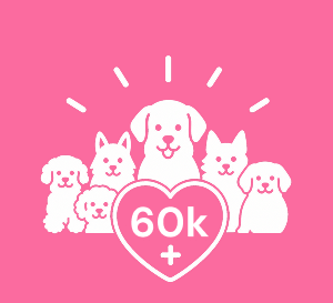 60,000+ dogs and counting