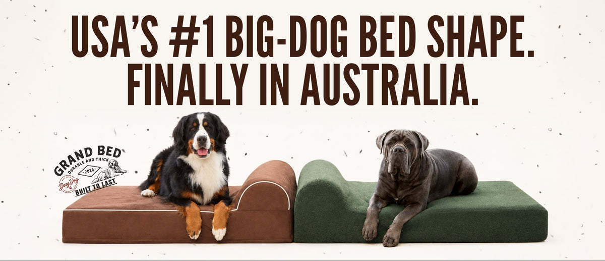 The Grand Bed