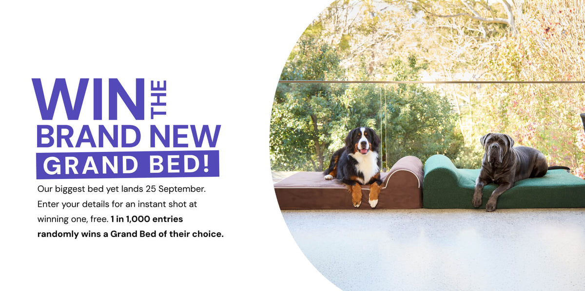 Win a Grand Bed