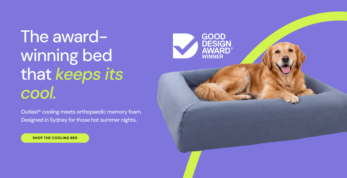 The award-winning bed that keeps its cool. Outlast cooling meets orthopaedic memory foam.