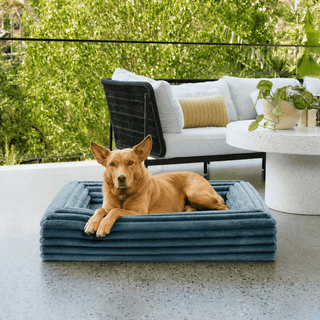 Memory Foam Dog Bed - Puffer Steel Blue