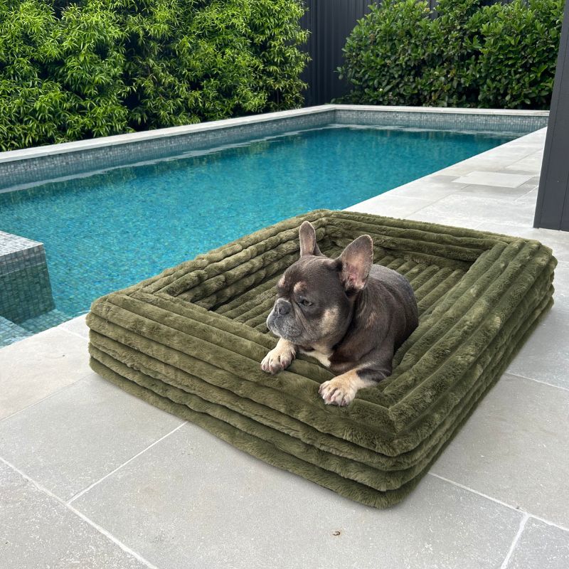 Can you wash a memory foam dog bed sales