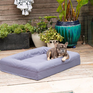 Cooling Dog Bed - Eucalyptus Memory Foam