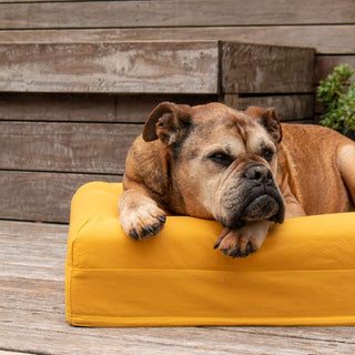 Cooling Dog Bed - Eucalyptus Memory Foam