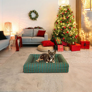 Cover - Christmas Canvas Mistletoe