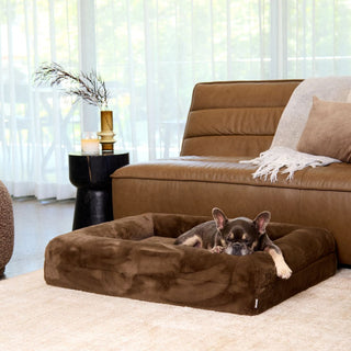 Memory Foam Dog Bed - Rabbit Fur Chocolate