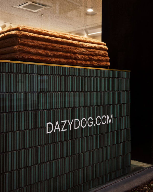 Dog in store