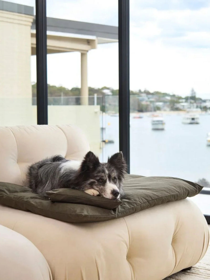 Lounger