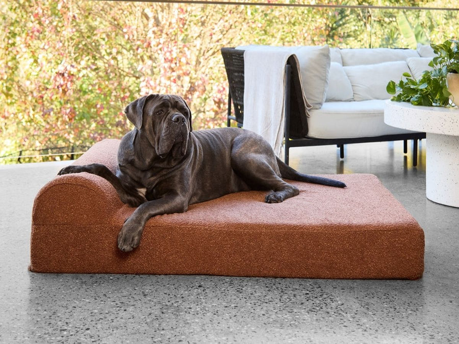 Extra Large Grand Bed