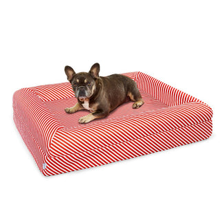 Memory Foam Dog Bed - Canvas Candy Cane