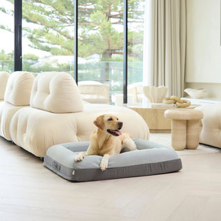 Memory Foam Dog Bed - Plush Grey