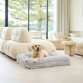 Memory Foam Dog Bed - Shag Grey