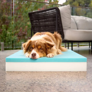 Alfresco Bed - Stripe - Puffer