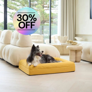 Cooling Dog Bed Amber Memory Foam Cooling