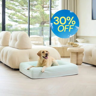 Cooling Dog Bed Eucalyptus Memory Foam Cooling