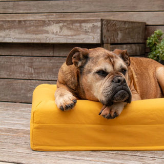 Cooling Dog Bed Eucalyptus Memory Foam Cooling