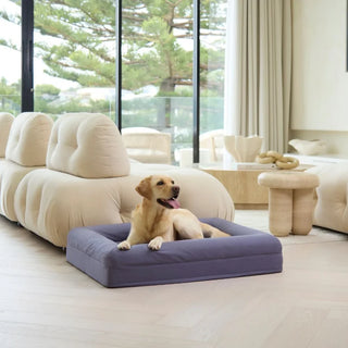 Cooling Dog Bed Midnight Memory Foam Cooling
